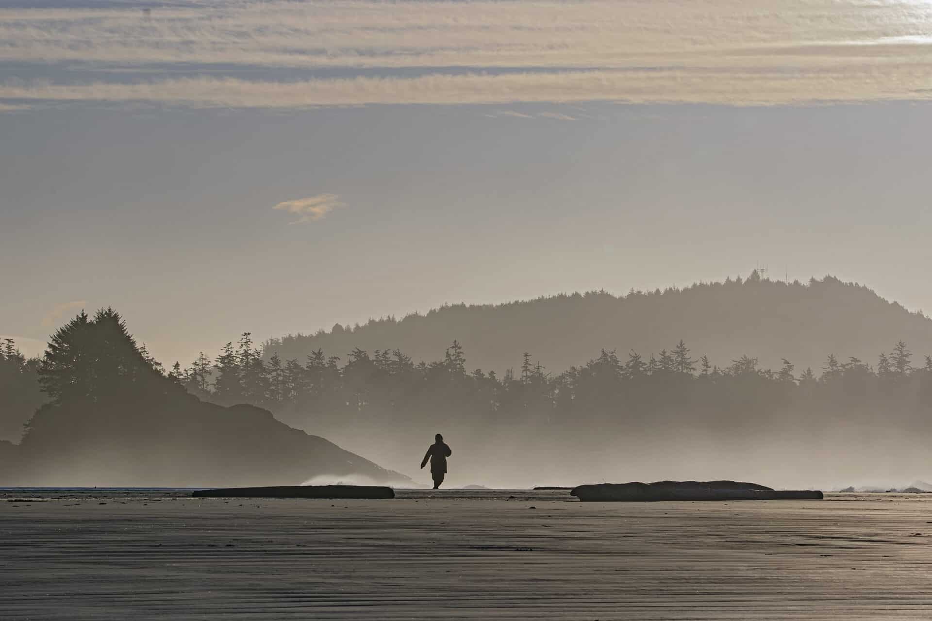 Facing the Winds of Tofino