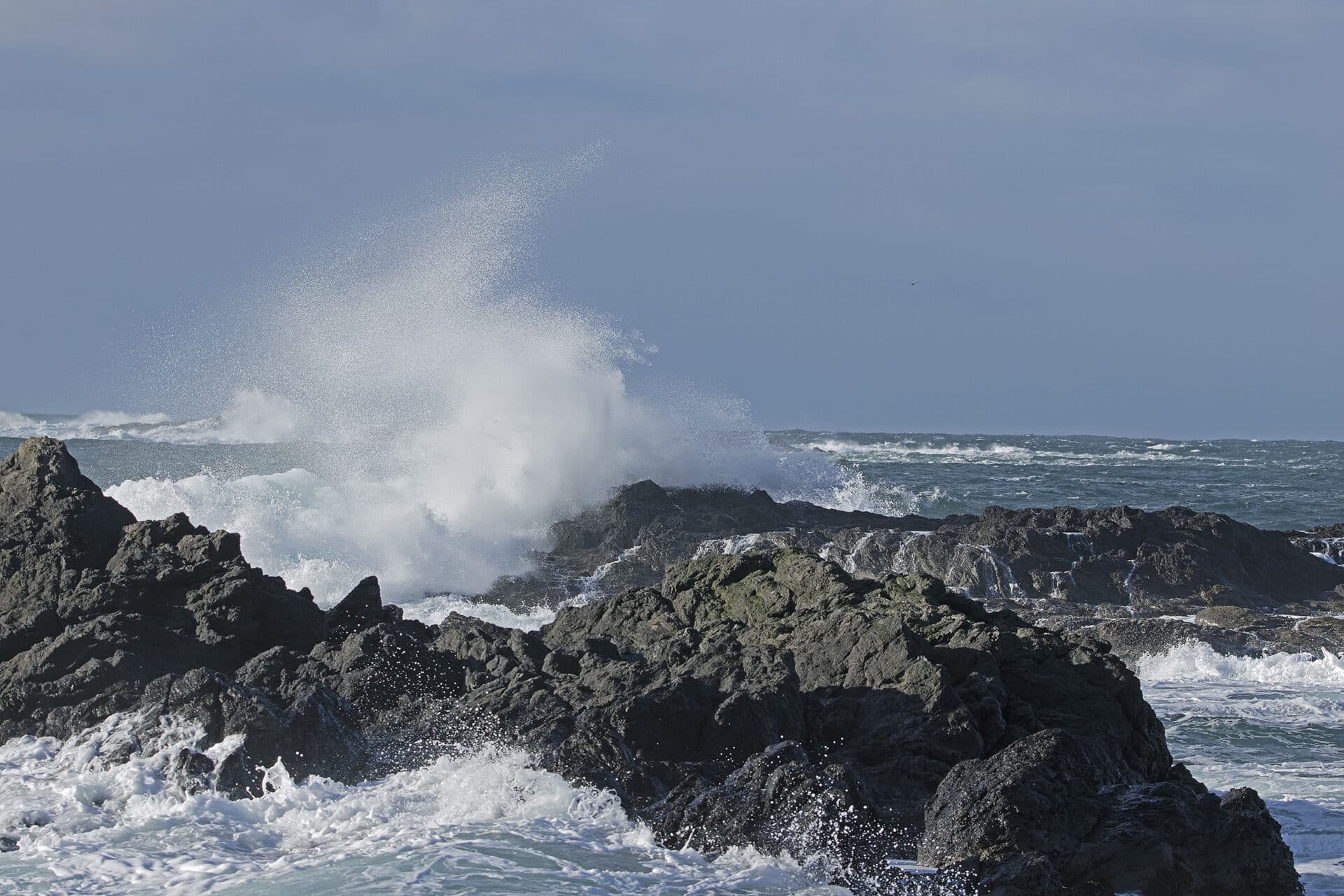 Ucluelet Waves, January 7, 2022
