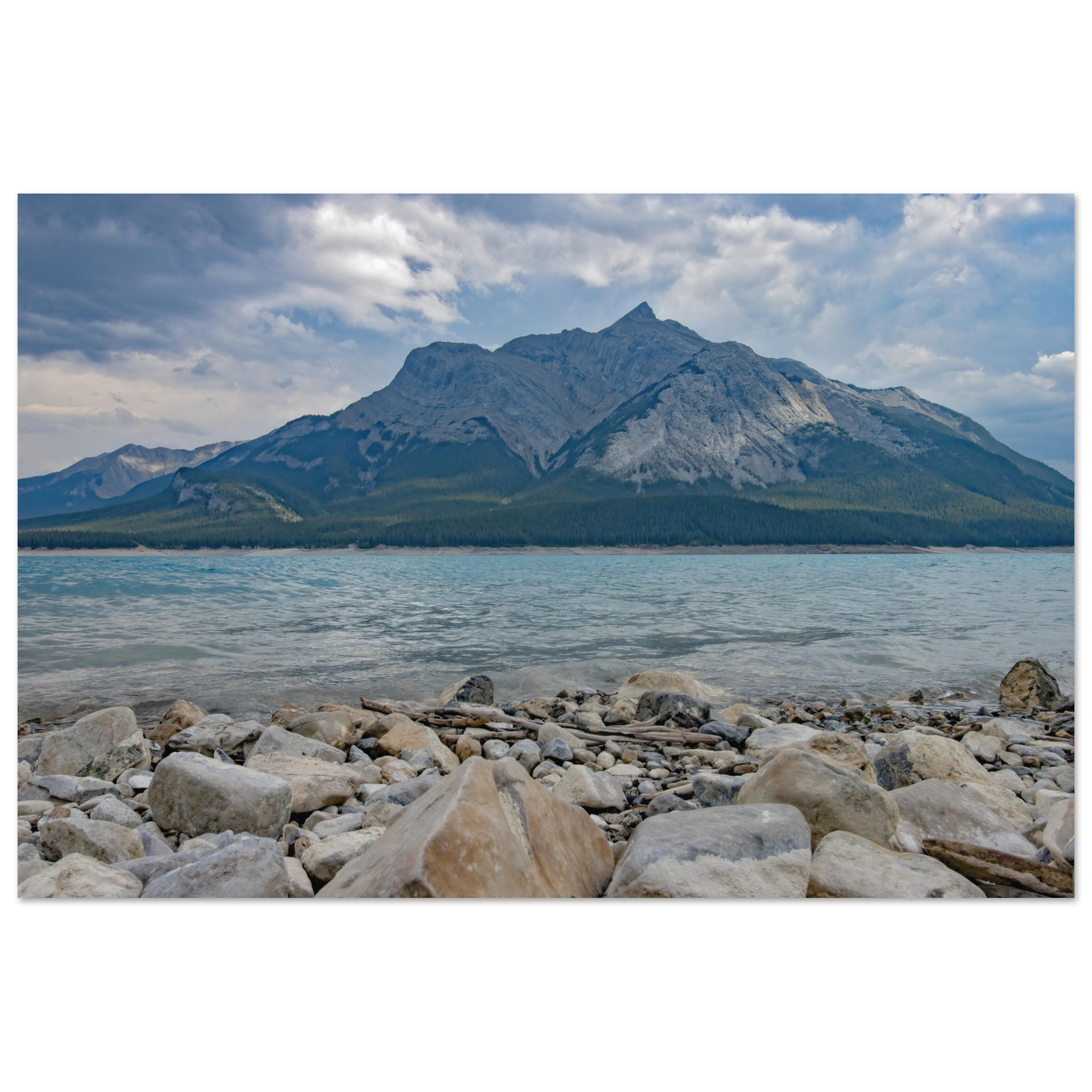 2ecb61b3-d5ba-43bf-9602-49d46cfdb393