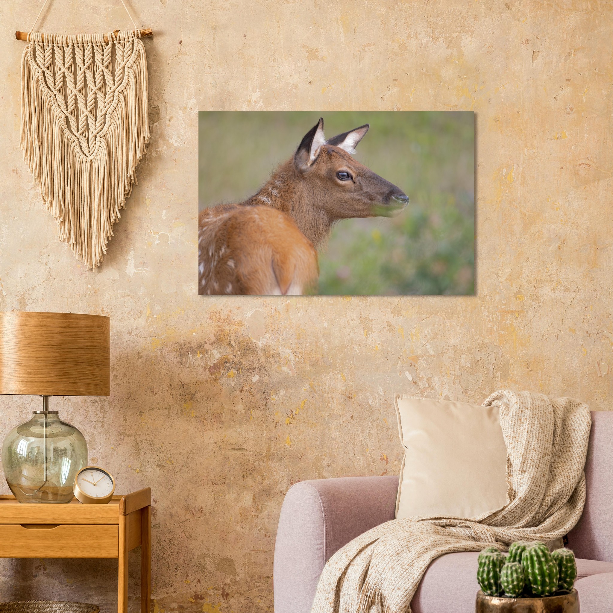 09c039db-9f67-46a5-b701-634fa917a7ac