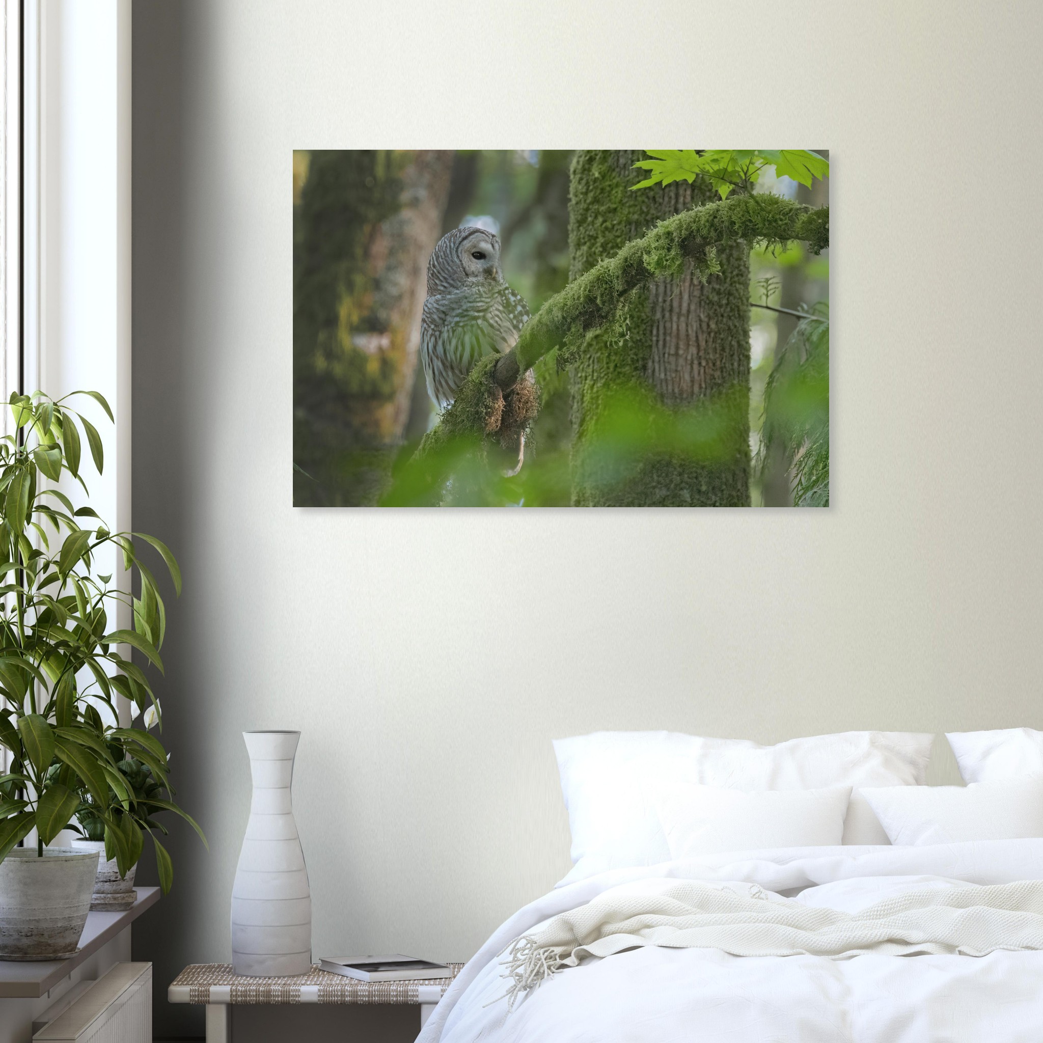 b5a74aaf-fe2a-459b-ad73-d77bae69ea95